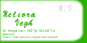 meliora vegh business card